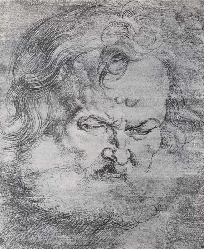 Albrecht Durer Head of St.Peter